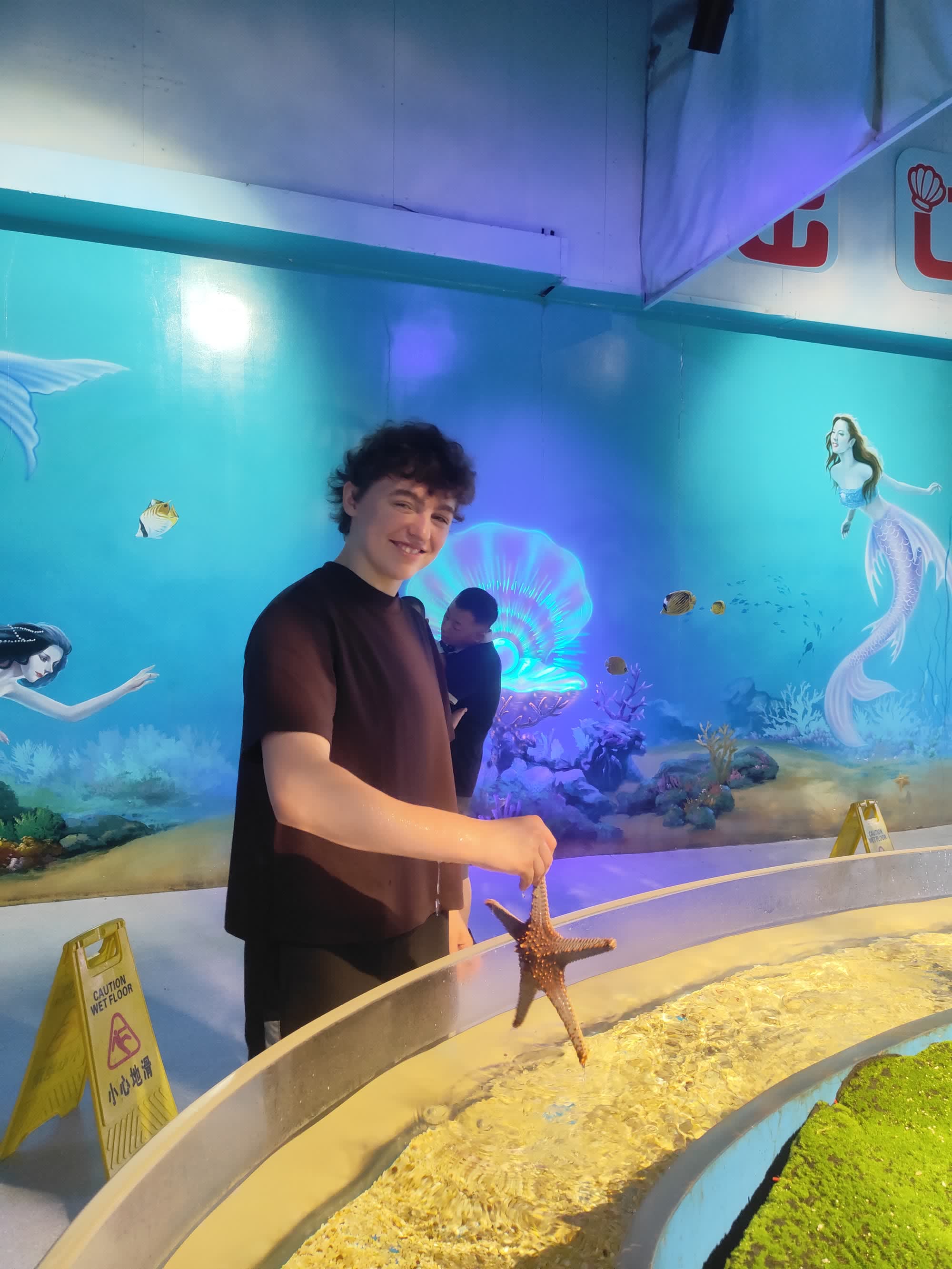Seestern im Touch-Pool im Aquarium