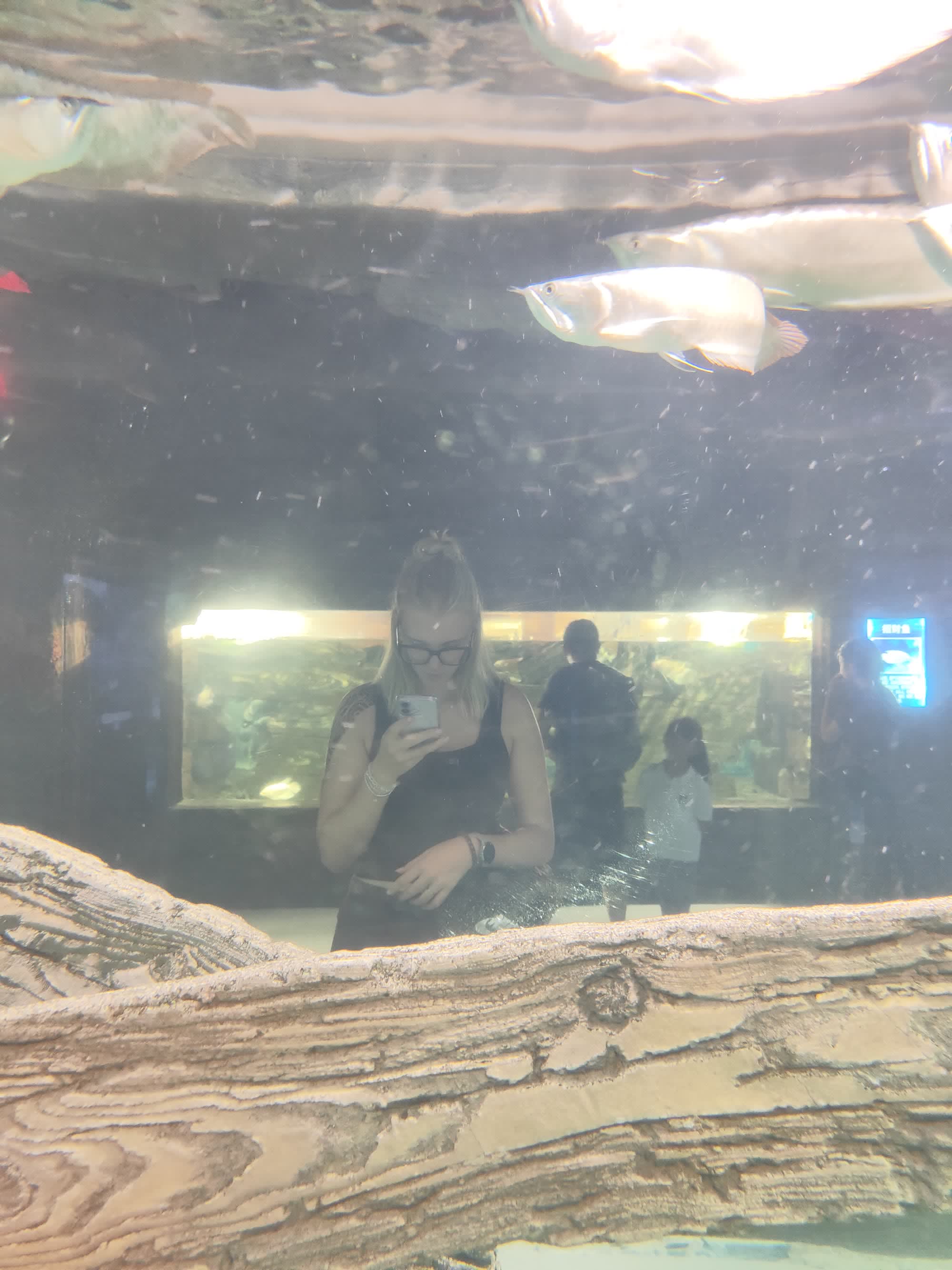 Im Aquarium vor dem Becken