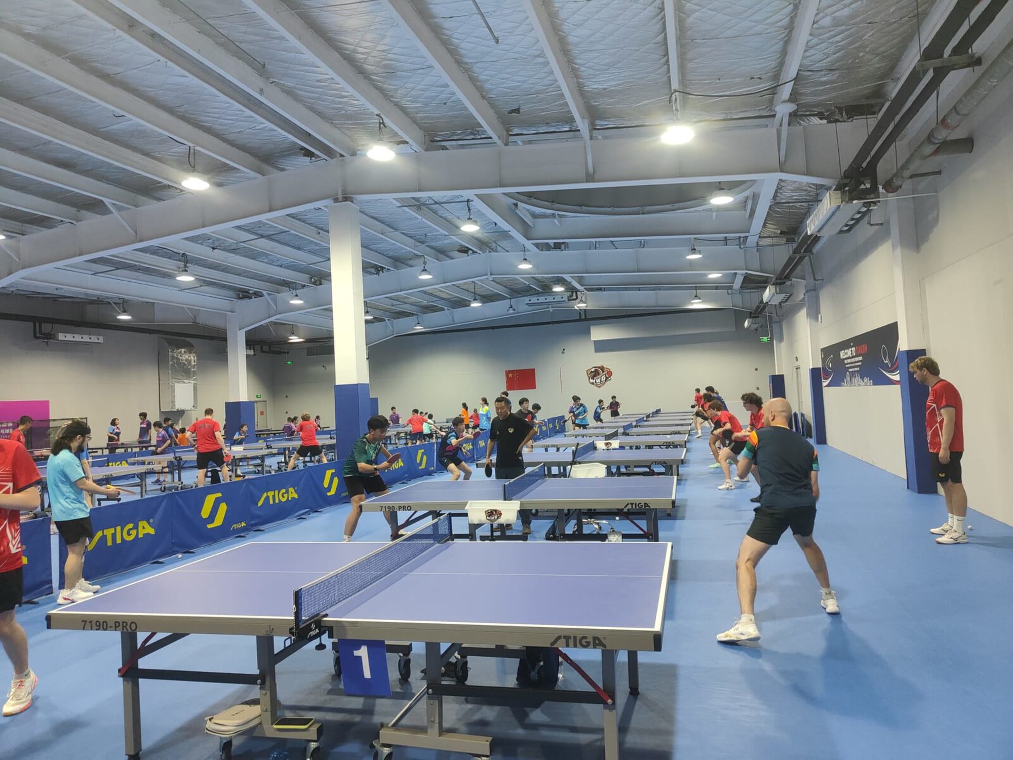 Halle in Bewegung